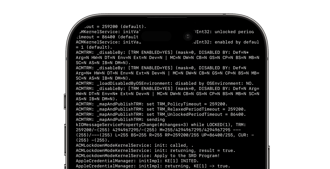 code terminal within iPhone